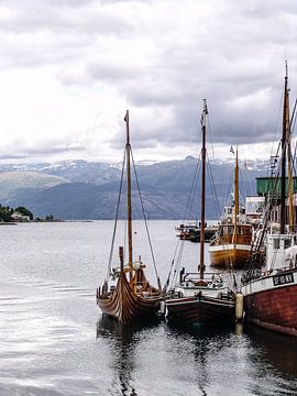 Sognefjord houtenboten in Noorwegen