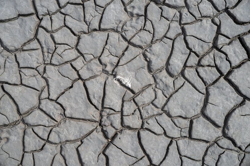 Pierres naturelles par Eric van Schaijk
