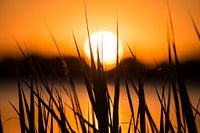 Zonsondergang aan het water