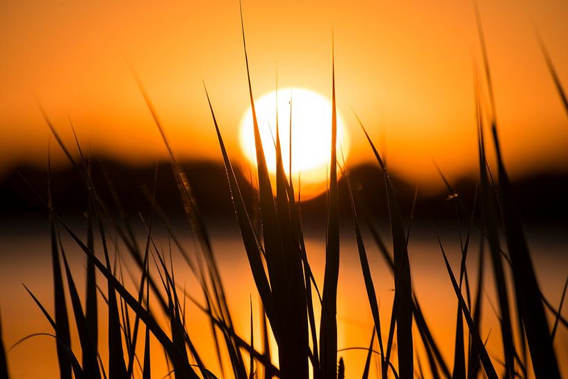 Sunset by the water by J. Einmahl