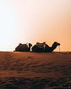 Wüste Sahara, Marokko von Marion Stoffels Miniaturansicht