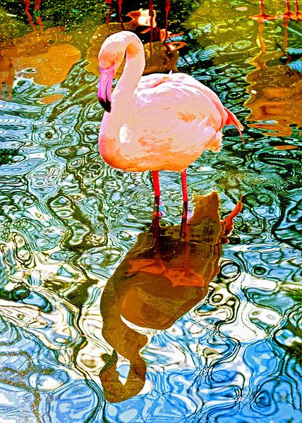 Rosa Flamingo von Leopold Brix