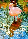 Rosa Flamingo von Leopold Brix Miniaturansicht
