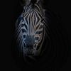Zebra sur Liliane Jaspers