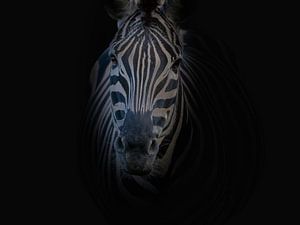 Zebra sur Liliane Jaspers