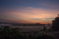 Magische heide
