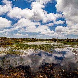 Kaap de Goede Hoop, Zuid-Afrika by Willem Vernes