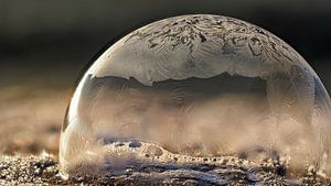 Frozen art #1