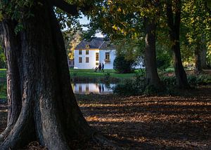 Ein Blick auf die Fraeylemaborg vom Garten aus
