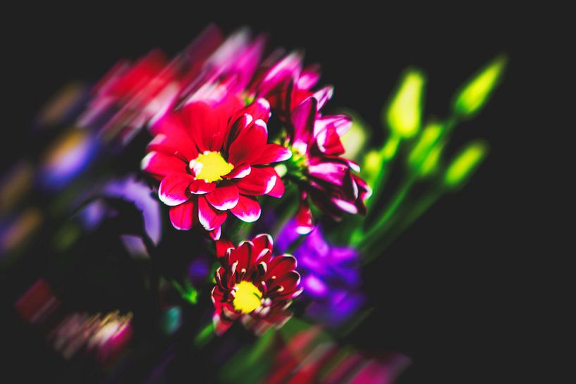 Style my Home series by Liberty Ragazza Biesma by Liberty Biesma