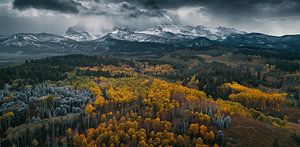 Geheimnisse des Herbstwaldes
