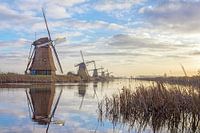 Rustige ochtend kinderdijk windmolens