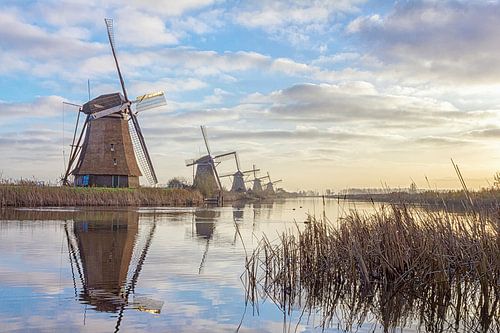 Rustige ochtend kinderdijk windmolens van Joris Beudel