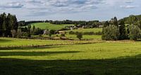 Meadows and forests in East Belgium by Werner Lerooy thumbnail