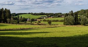 Weiden en bossen in Oost- België van Werner Lerooy