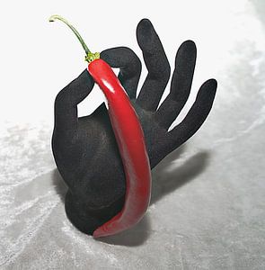 le bijoutier des légumes/le poivre rouge
