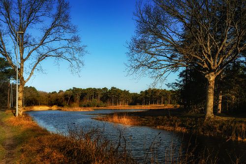 Natural ice rink Vlieland in the evening sun