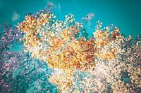 Trees art in cheerful colorful mix