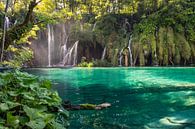Plitvice watervallen, Kroatië van Menno van der Haven thumbnail