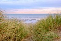 The dunes and the beach
