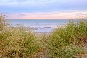 Die Dünen und der Strand