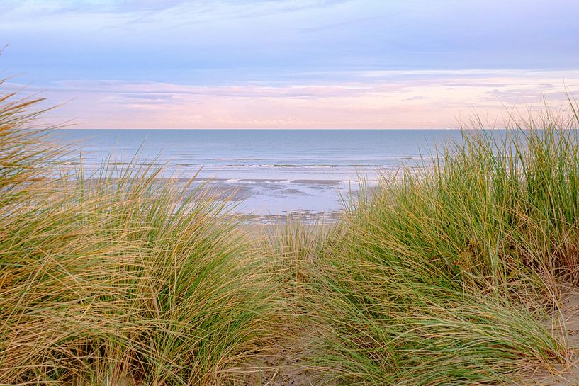 Die Dünen und der Strand von Johan Vanbockryck