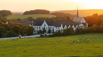 Mariawald Abbey, Rur-Eifel, North Rhine-Westphalia, Germany by Alexander Ludwig