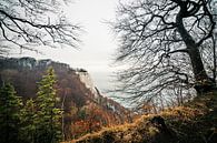 Rügen - Königsstuhl von Alexander Voss Miniaturansicht