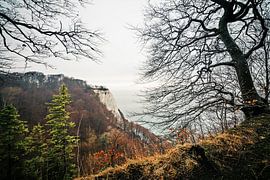 Rügen - Königsstuhl von Alexander Voss