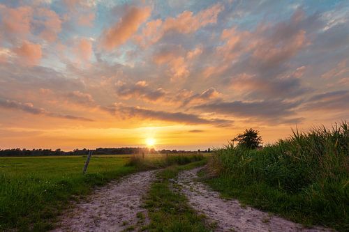 Sunset De Onlanden Drenthe