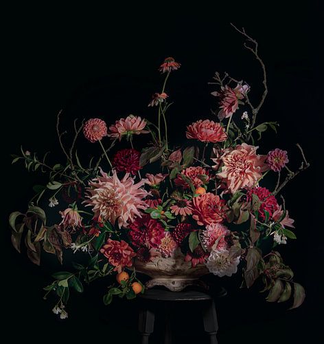 pfirsichfarbener Ruhm