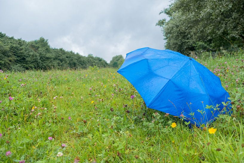 Sheltering from the rain under a blue umbrella by Margreet Piek