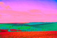 Farbenfrohe Sommerlandschaft in aktuellen Farben