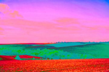 Un paysage estival aux couleurs actuelles sur Mad Dog Art