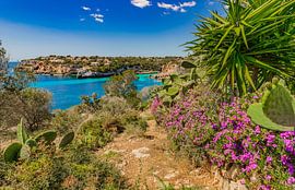 Beautiful coast of Mallorca, Spain Mediterranean Sea by Alex Winter