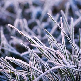 Eerste winterdag van Reflection of Nature