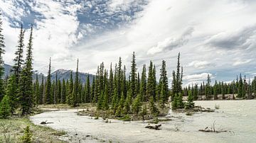 Athabasca River van Floris van Woudenberg