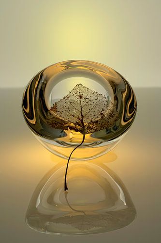Modern Stilleven  Glas 1. Minimalisme. Impressionisme.