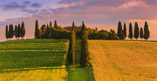 Maria Eva Genna Barbarini's estate at Poggio Manzuoli.