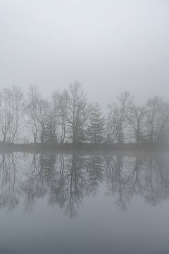 Fine art landscape of trees by a lake in the mist by John van de Gazelle fotografie