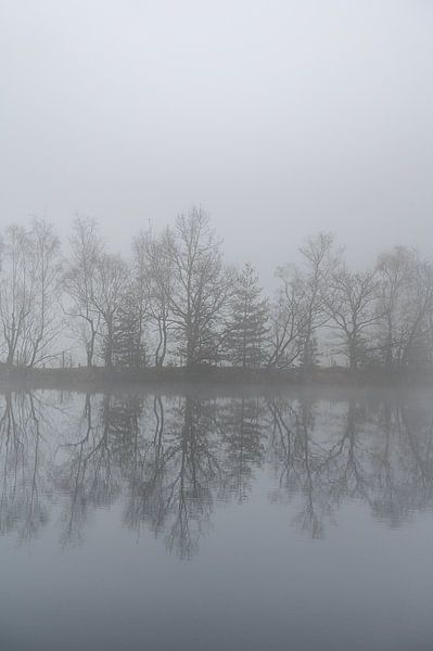 Fine Art landschap van bomen aan een meer in de mist van John van de Gazelle fotografie