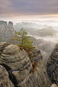 Morgenstimmung im Elbsandsteingebirge - Wunderschöne Sächsische Schweiz von Rolf Schnepp