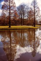 Reflection in the water
