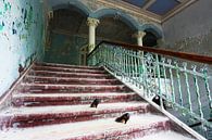 Verloren trap in een verlaten gebouw van Frank Herrmann thumbnail