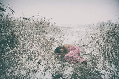 The blizzard by Peggy Saffrie