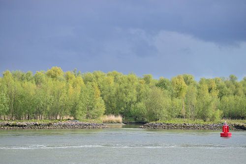 Donkere wolken boven Oude Maas