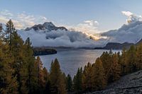 Ambiance du soir au lac de Sils