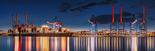 Haven van Hamburg met containerterminal Hamburg.