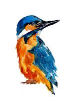Kleiner Eisvogel