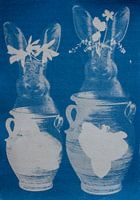 Blue Garden Curiosity